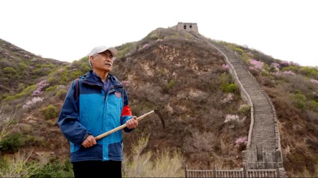 自强模范：长城脚下的默默英雄——梅景田和他的镰刀巡护传奇